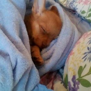 Meet your Posher, Sheryl